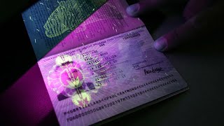 ¿Qué es el PASAPORTE BIOMÉTRICO [upl. by Ylac]