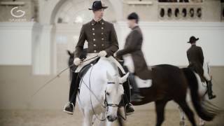 Spanische Hofreitschule Wien Lipizzaner  GRANDER Wasserbelebung Erfahrungsbericht [upl. by Hsihsa]