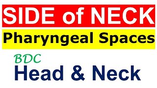 Chp3  SIDE of NECK  PHARYNGEAL SPACES  Head amp Neck Anatomy  BDC Vol3 [upl. by Teyut195]