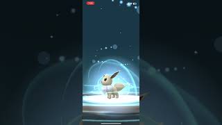 Evolving shiny Eevee pokemongo [upl. by Esmerelda985]