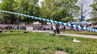 Maibaum aufstellen in Emmering mit kleinen Hindernissen 1Mai 2024 in 4K [upl. by Ahsinik]