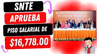 SNTE APRUEBA PISO SALARIAL  16 77800  APRUEBAN POR UNANIMINIDAD [upl. by Lamrouex]