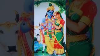 Girdhari Lal nache Shyama gopal song trending youtubeshorts [upl. by Inaboy262]