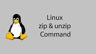 Learn Linux 17  zip and unzip Command [upl. by Nnyltiac]