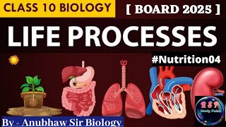 Autotrophic Nutrition ll Photosynthesis ll What is Stomata ll science board class10th biology [upl. by Ylurt]