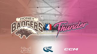 Honey Badgers vs Arctic Thunder  Div 4  16th October  IceHQ Rec League ice hockey [upl. by Ecissej]