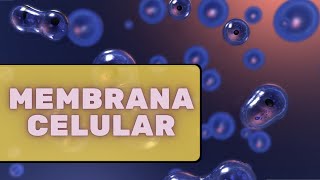 Membrana celular – Fisiologia Humana [upl. by Ylatan]