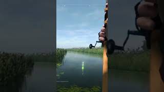 Fishing Planet  Catching Trophy Bowfin [upl. by Cox]