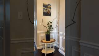 Creative way of displaying vining plants plantdecor diyplants trailingplants plantsplantsplants [upl. by Osbourn]