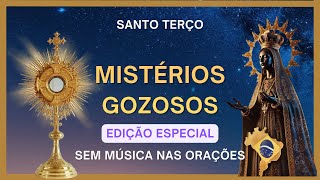 Mistérios Gozosos Meditado  Santo Terço Sábados e Segundas [upl. by Noreik667]