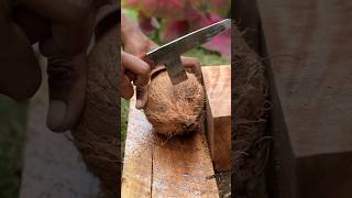 coconut knife Remove the coconut from the shell [upl. by Adnoral]