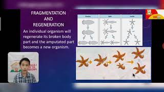 Ways of Animal Reproduction Earth and Life Science Grade 11 Discussion Video [upl. by Jat]