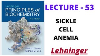 Sickle cell anemia  lecture  53  lehninger biochemistry [upl. by Parnell]