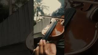 Neelashalabhame BGM Violin  violin cover malayalam song trending trendingshorts mallu [upl. by Aurelie379]