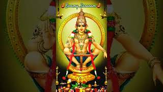 swamysaranam sabarimala sannidhanam mandalakaalam irumudikettu sandhyavandanam 🙏🌹🪔🪔🪔🪔🪔🪔🪔🪔🪔🪔🪔🪔 [upl. by Yramliw]