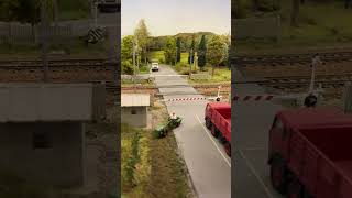 Etr 1000 VS Stadler Giruno 501 plastico fs Acme Trix [upl. by Yatzeck]