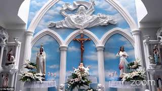 700 PM July 28th 2024 Divine Mercy Chaplets  Rosaries  The Way to Heaven [upl. by Yvad]