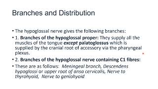 Hypoglossal Nerve [upl. by Fagan]