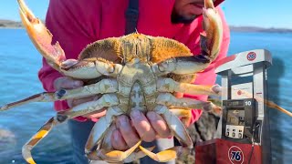 Gas Station Crab Snares 2024 First Crab Snaring Session Can I limit from shore [upl. by Blanca]