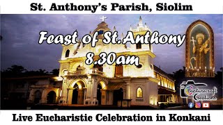 Feast Day Konkani Mass Live at 830am 16th June 2024  St Anthonys Church Siolim [upl. by Ynnoj]