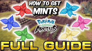 How to Get Mints in Pokemon Legends Arceus  Full Guide Tutorial [upl. by Evita323]