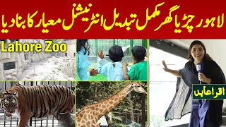 Lahore Zoo International Level Ka Bana Diya Mukamal Tabdeel  Croro Rs Ka Kharcha  Iqra Abid [upl. by Tali]