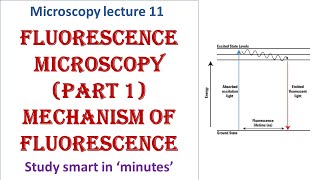 Fluorescence microscopy  Part 1  Mechanism of fluorescence  Microscopy lecture 11 [upl. by Vijar]