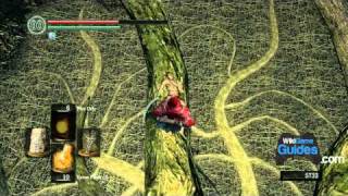 Dark Souls Walkthrough  The Great Hollow amp To Ash Lake Part 054  WikiGameGuides [upl. by Ertnom]