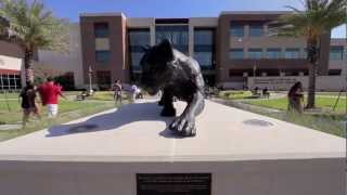 PVAMU Student Life Commercial [upl. by Leahcimal]