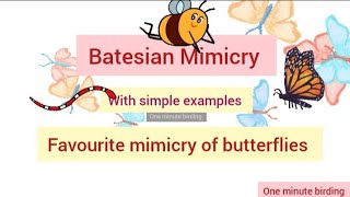 Batesian Mimicry ExamplesCommonMormon science mimicry butterflies trending viral nature [upl. by Avonasac]