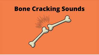 Bone Cracking Sounds 1 hour [upl. by Arutak]