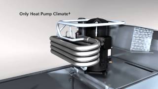 Winterhalter Conveyor dishwasher  Heat Pump [upl. by Leasi]