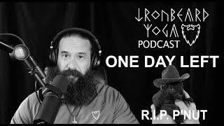 Ironbeard Yoga Podcast  ONE DAY LEFT  RIP Peanut  11–42024  Episode 9 [upl. by Edijabab175]