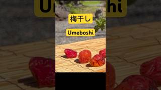 How to make Japanese sour plum Umeboshi at home [upl. by Arinaj]