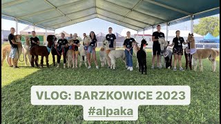 VLOG Barzkowice 2023 alpaka [upl. by Anthony]