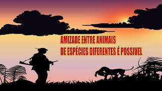 Amizade entre animais de espécies diferentes é possível shorts [upl. by Nilsoj]