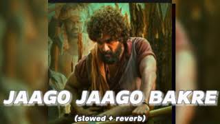 jaago jaago bakre slowed reverb tseries jaagojaagobakre slowedandreverb [upl. by Oidacra]