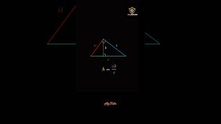 Class 10th triangles  trigonometry ssc ytshorts bpsc [upl. by Nnyletak]