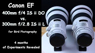 Canon EF 400mm f4 IS ii DO vs EF 300mm f28 IS ii L for Bird Photography 4 Months of Experiments [upl. by Aroda]