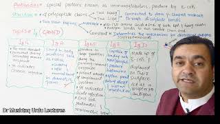 134 Antibodies  Biology  Class 11  Dr Mushtaq Urdu Lectures [upl. by Anirhtak]