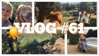 VLOG 61  Sommerurlaub Teil 1  Verlaufen  Harz [upl. by Leirbma]