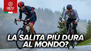 Zoncolan è la salita più dura del ciclismo moderno [upl. by Lucho]