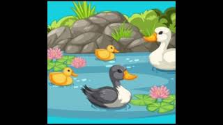 video ugly duckling [upl. by Jacklyn]