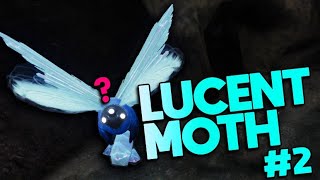 APOTHECARY LUCENT MOTH LOCATION  DESTINY 2 Guides [upl. by Ricoriki85]