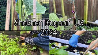 Shokher Bagaan UK 2024  Vegetable Plant Growing Outside [upl. by Waddell]