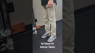 Toe Raises For Anterior Tibialis [upl. by Durand666]