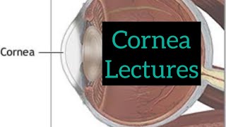 Cornea lectures part 3 Eye  opthalmology lectures eyelectures opthalmology eye cornea [upl. by Gaw]