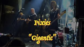 Pixies  “GIgantic”  Guitar Tab ♬ [upl. by Conah]