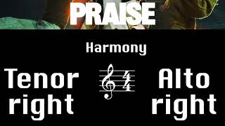 Praise  Harmony Tutorial [upl. by Nnawaj]