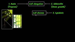 A Initial growth of pollen tube takes places on expenditure of food present in the stigma and style [upl. by Corrinne]